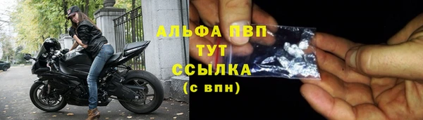 винт Абаза