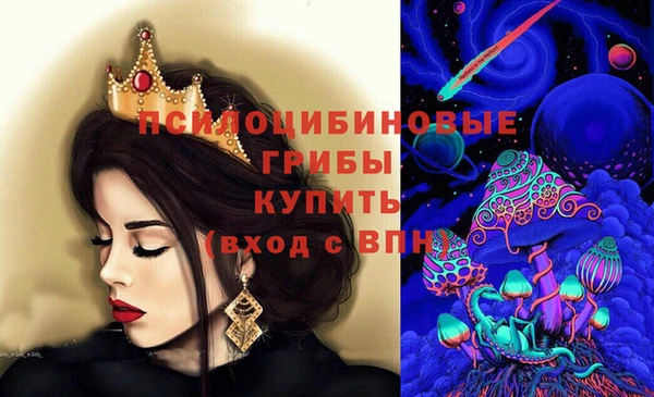 винт Абаза