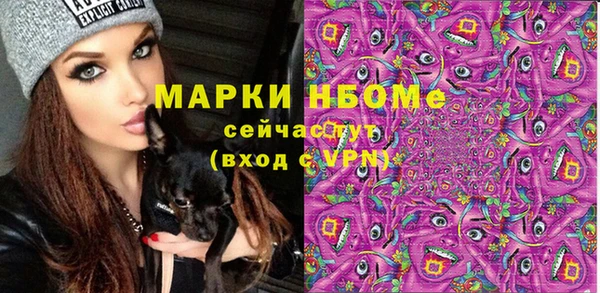 винт Абаза