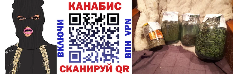Марихуана сатива  Судогда 
